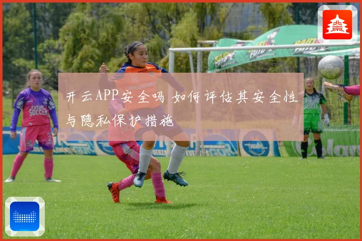 开云APP安全吗 如何评估其安全性与隐私保护措施