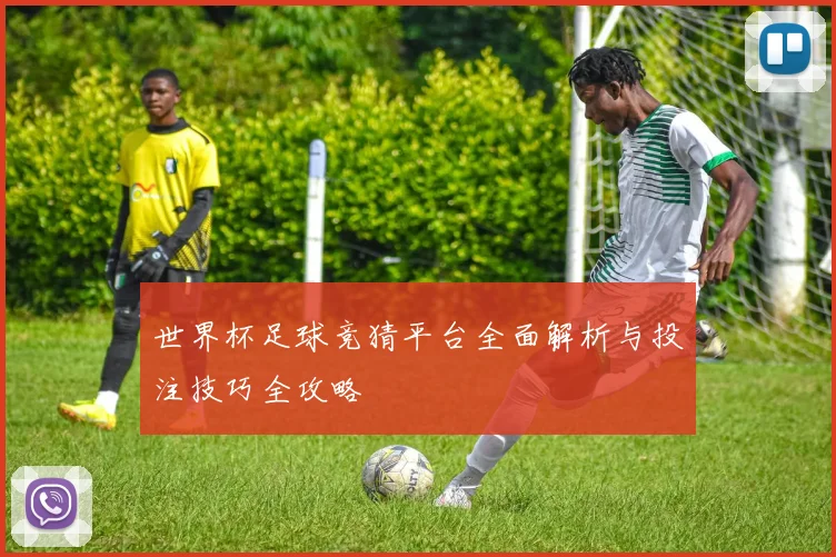 世界杯足球竞猜平台全面解析与投注技巧全攻略