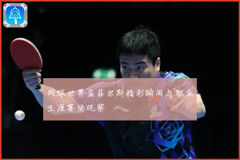 网球世界孟菲尔斯精彩瞬间与职业生涯赛场观察